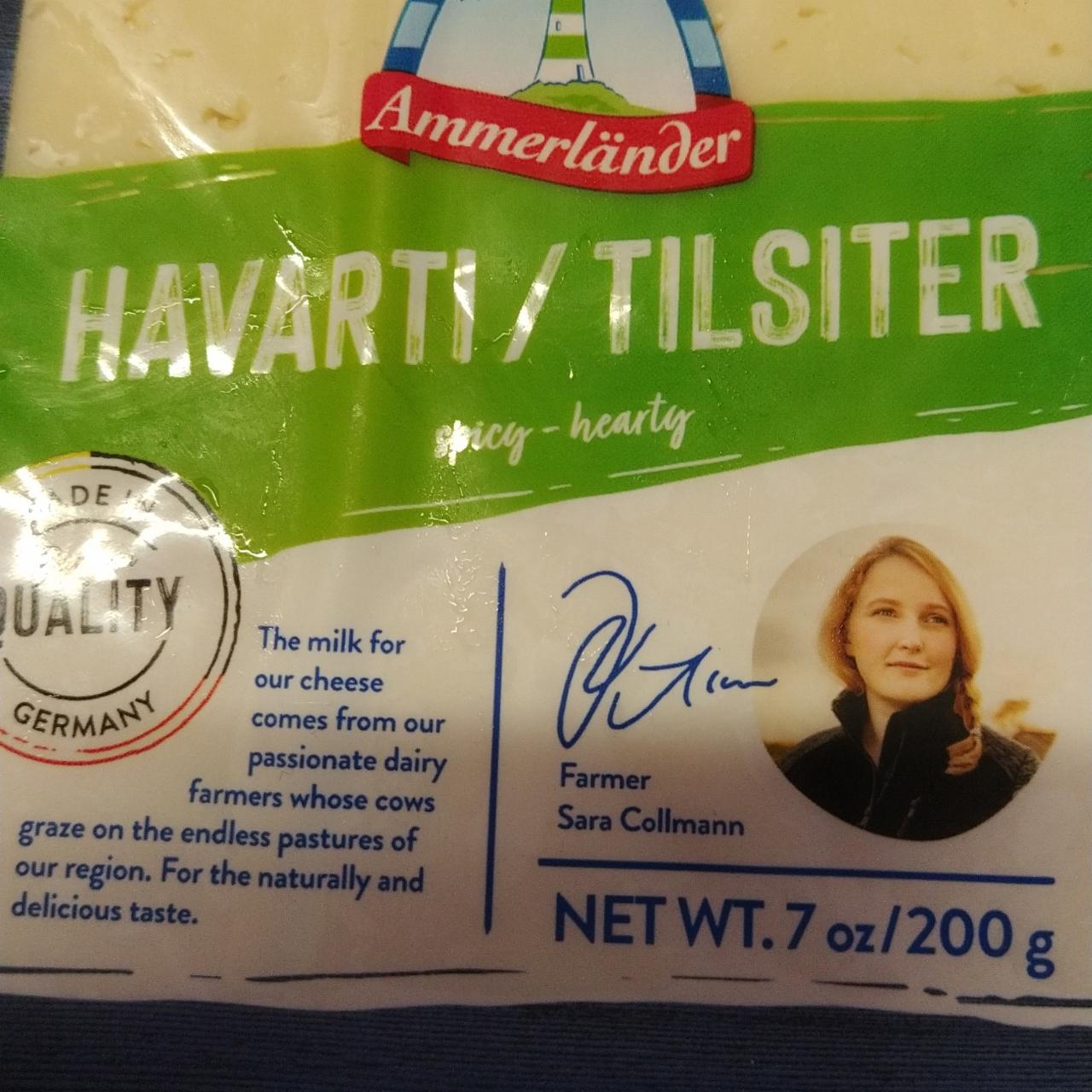 Fotografie - Havarti/Tilsiter Ammerländer