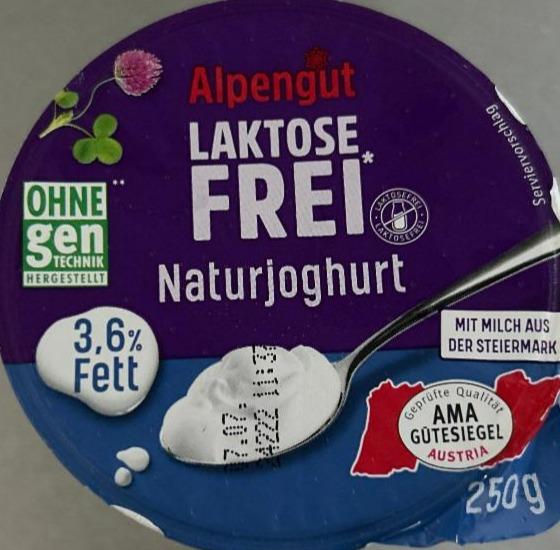 Fotografie - Laktose frei naturjoghurt Alpengut