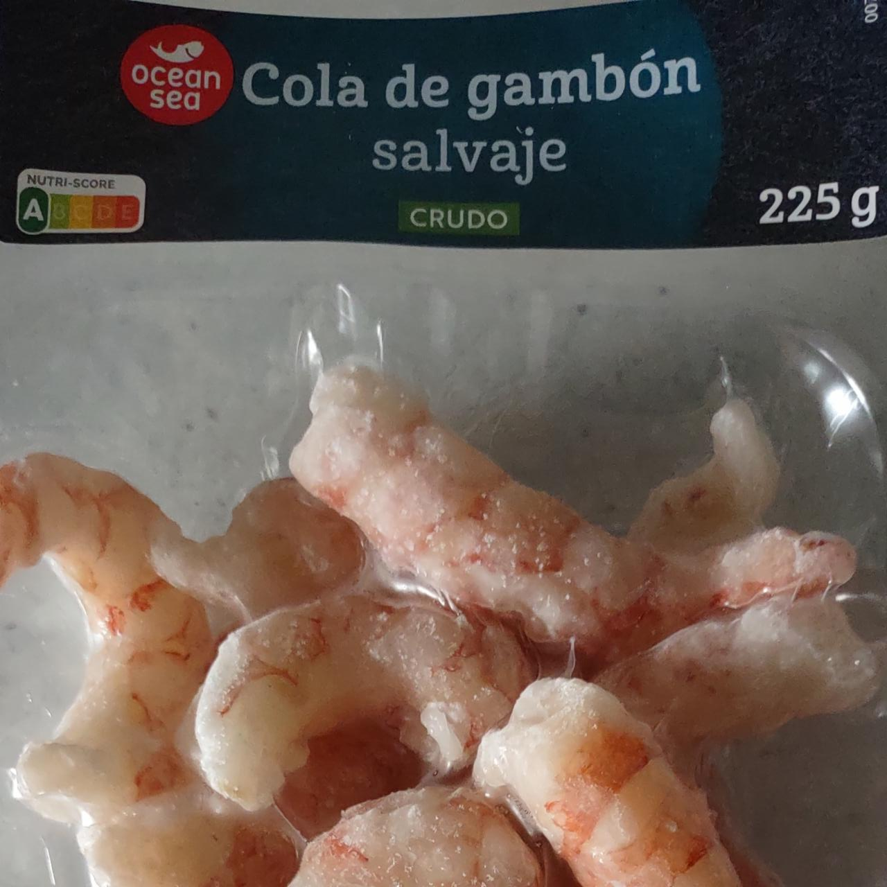 Fotografie - Cola de gambón salvaje crudo Ocean Sea