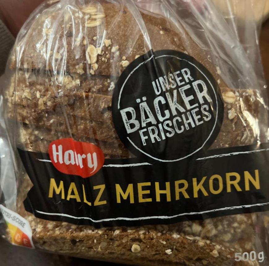 Fotografie - Malz Mehrkorn Harry