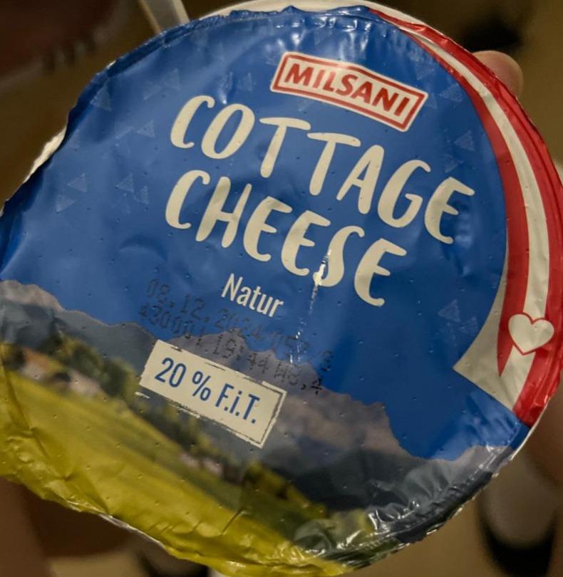 Fotografie - Cottage cheese natur Milsani