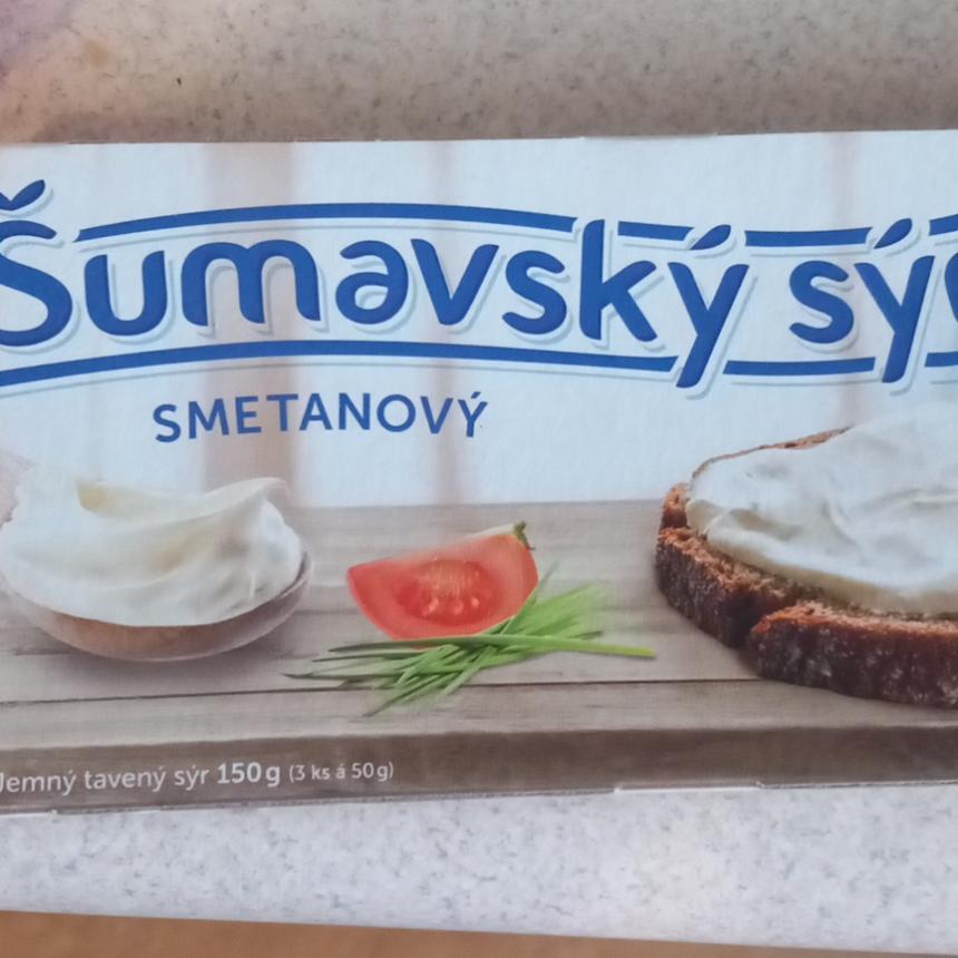 Fotografie - Šumavský sýr smetanový Tany