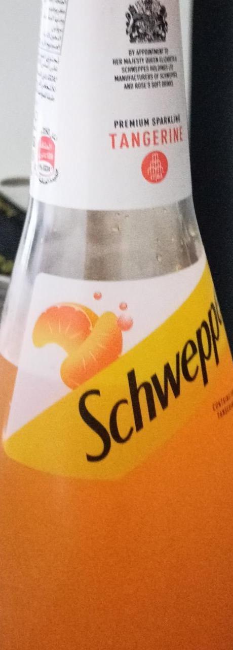 Fotografie - Tangerine Schweppes