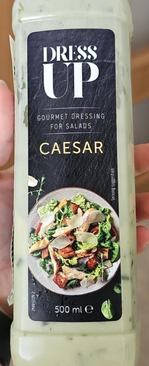 Fotografie - Caesar gourmet dressing for salads Dress up