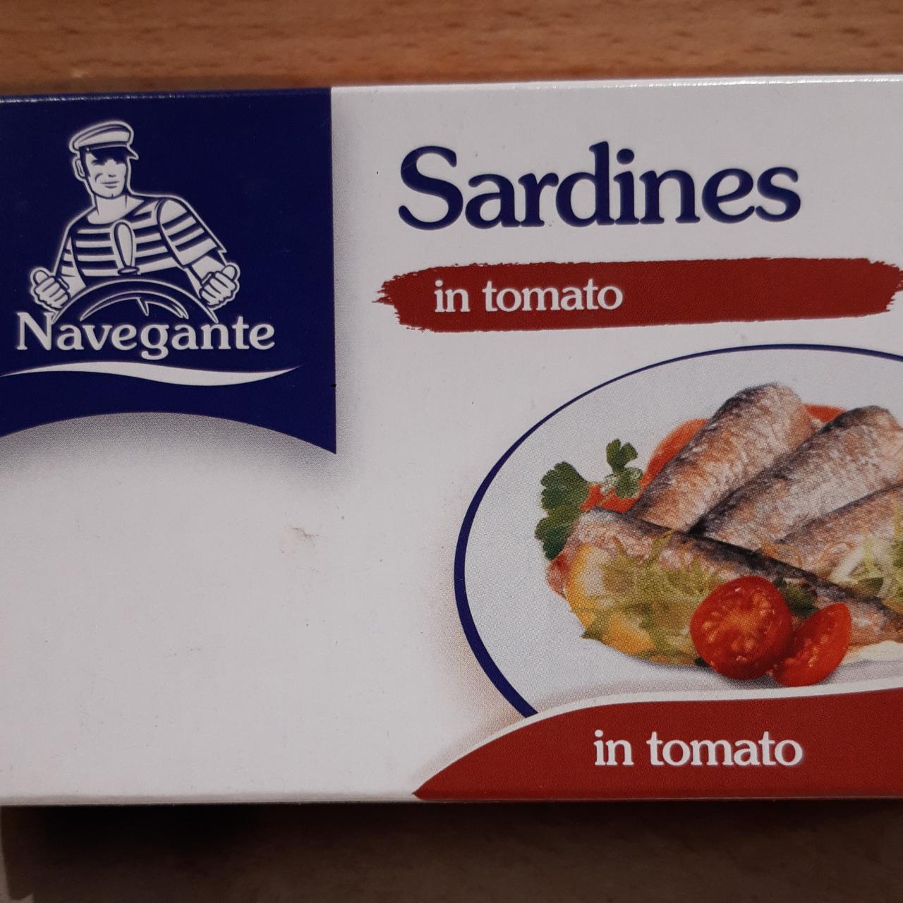 Fotografie - Sardines in tomato Navegante