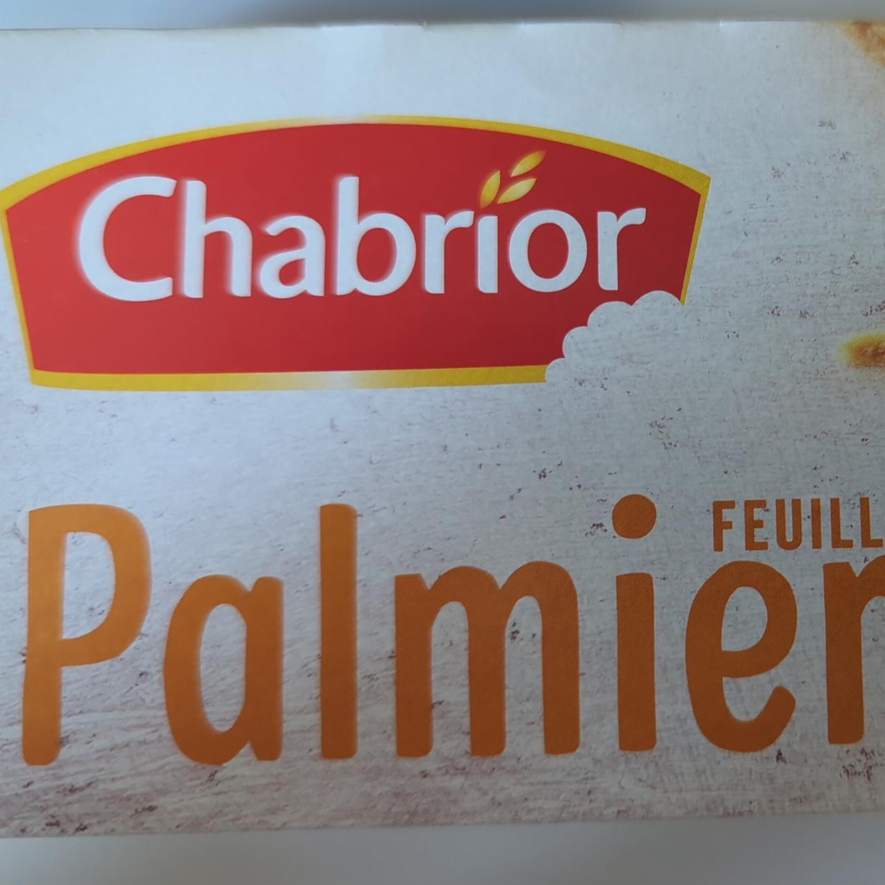 Fotografie - Palmiers Chabrior