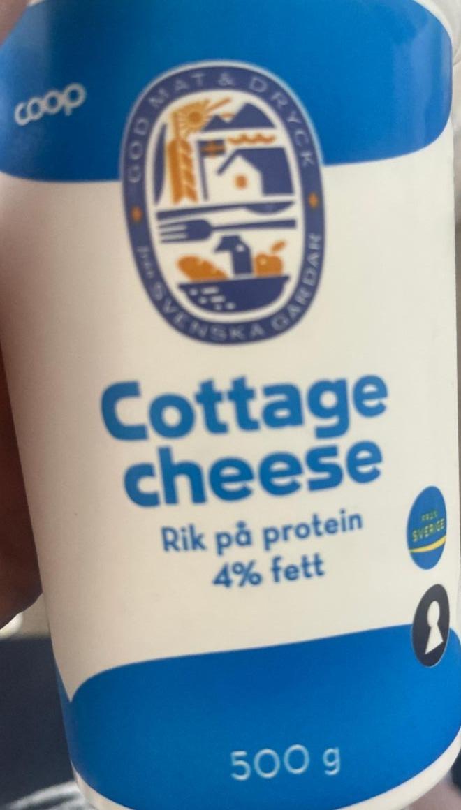 Fotografie - Cottage cheese Coop