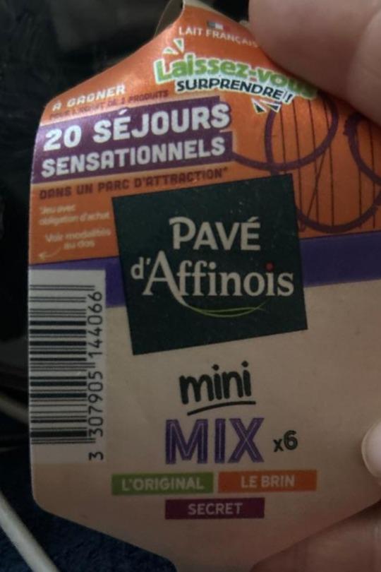 Fotografie - Le brin mini Pavé d'Affinois