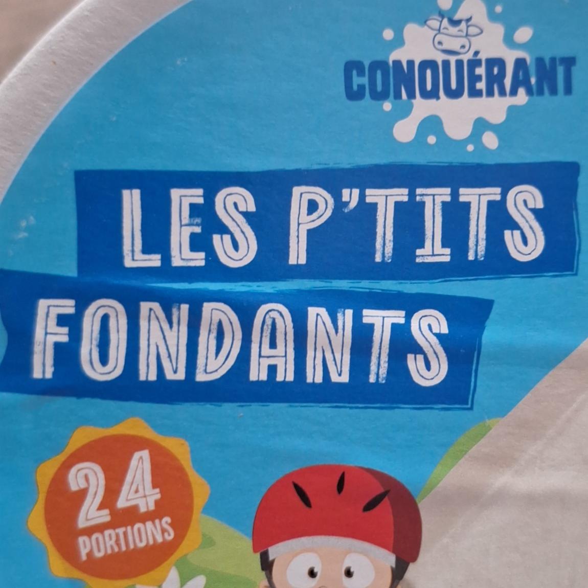 Fotografie - Les p'tits fondants Conquérant