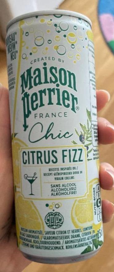 Fotografie - Chic citrus fizz Maison Perrier