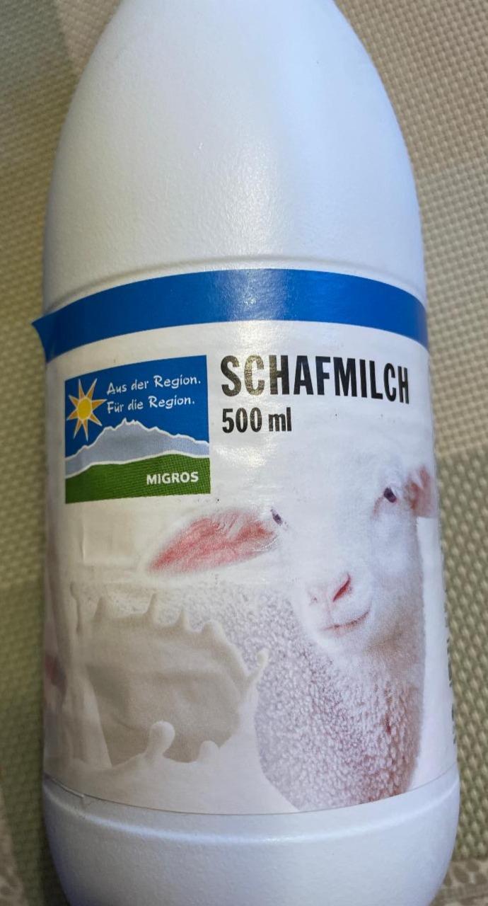 Fotografie - Schafmilch Migros