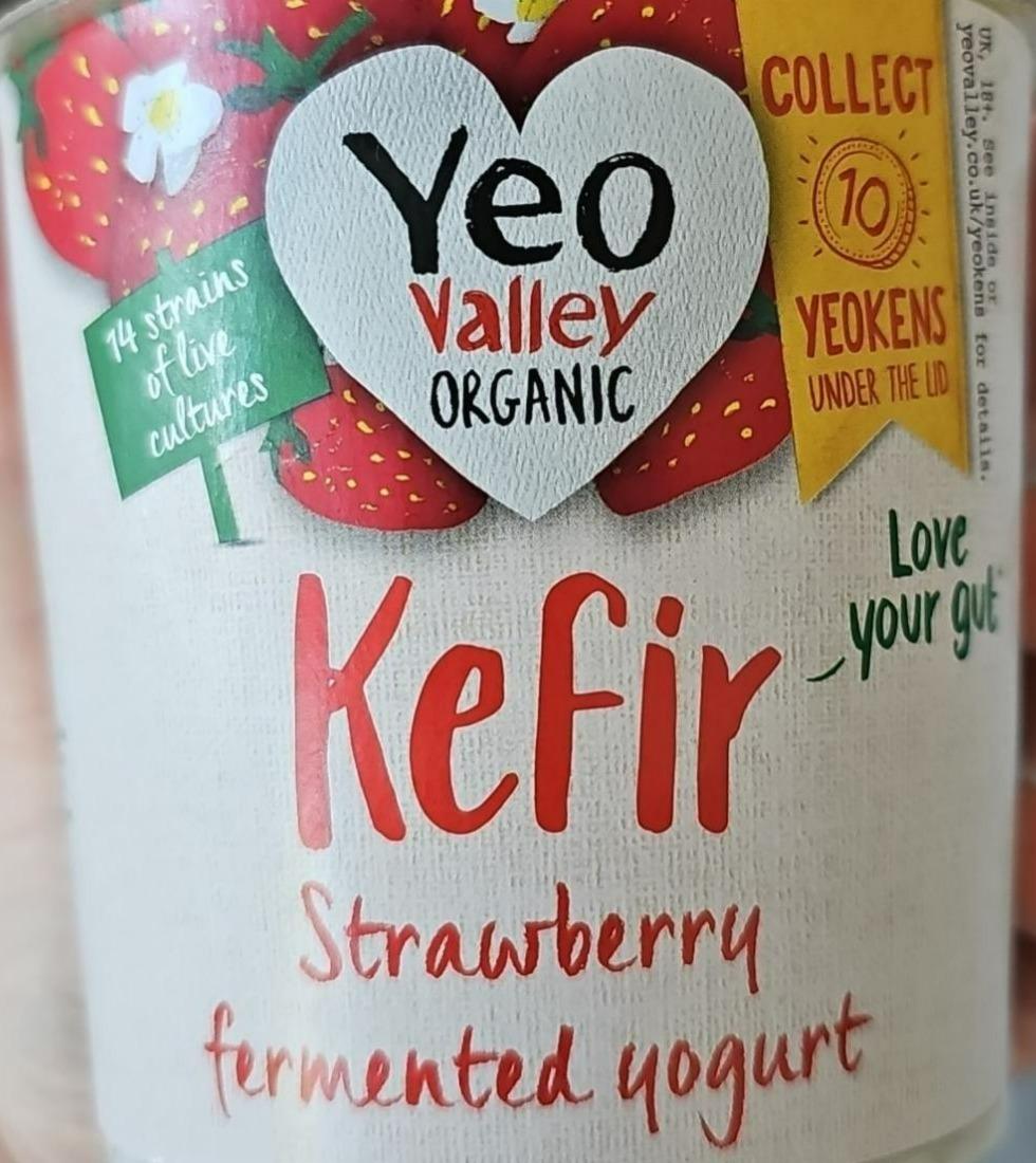 Fotografie - Kefir strawberry fermented yogurt Yeo valley