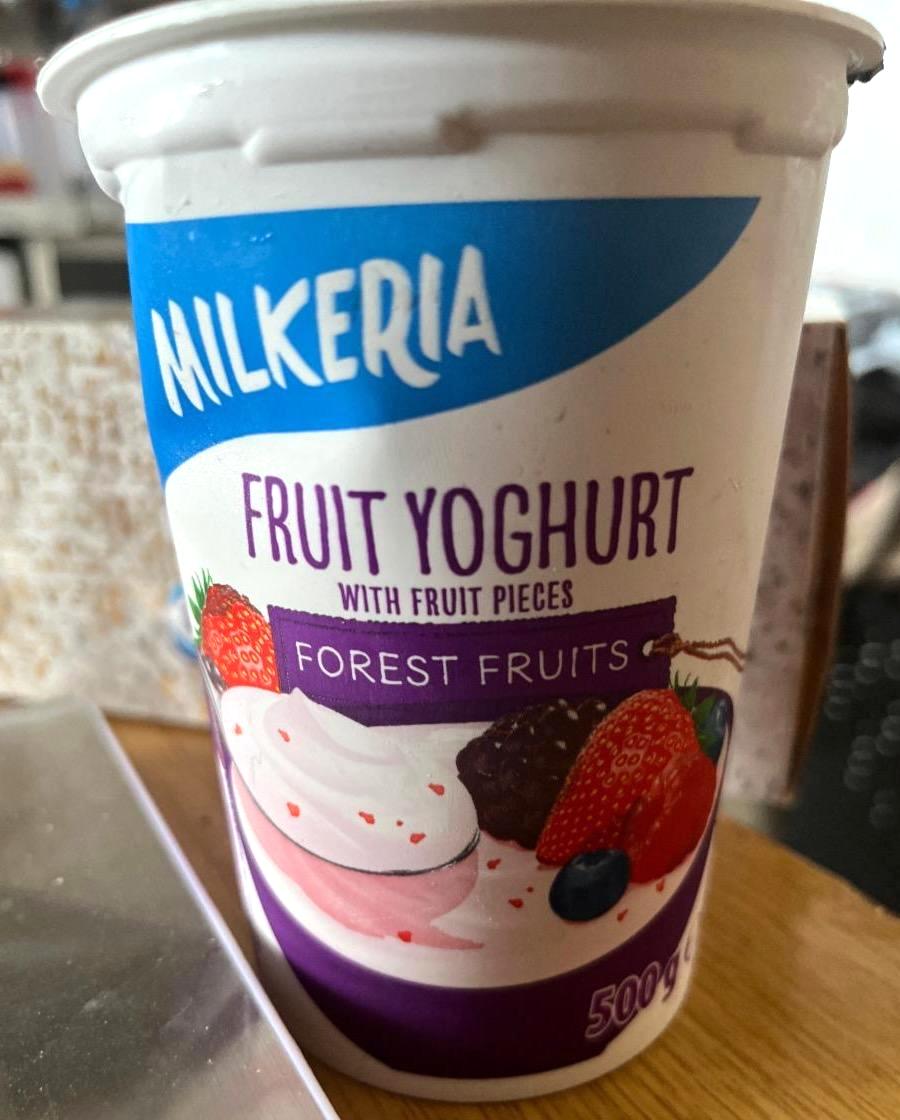 Fotografie - Fruit Yoghurt Forest Fruits Milkeria