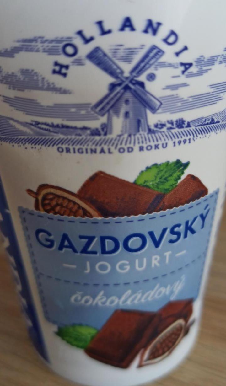 Fotografie - Gazdovský jogurt čokoládový Hollandia