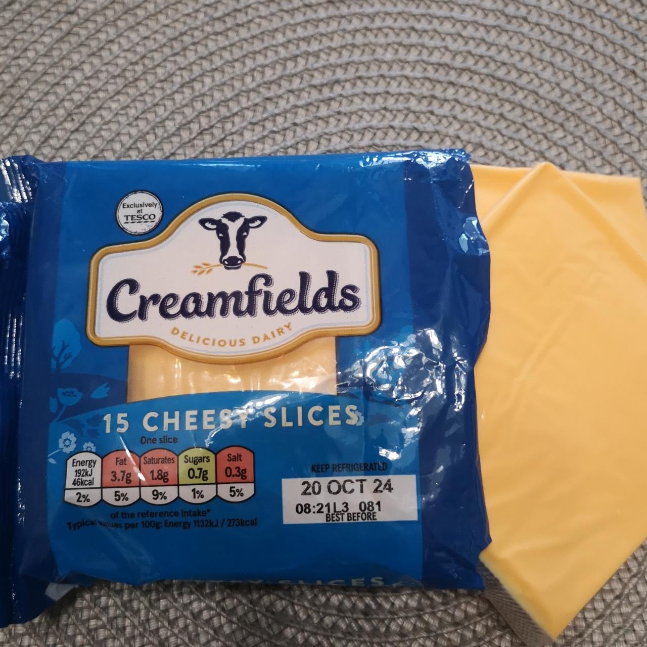Fotografie - 15 cheesy slices Creamfields