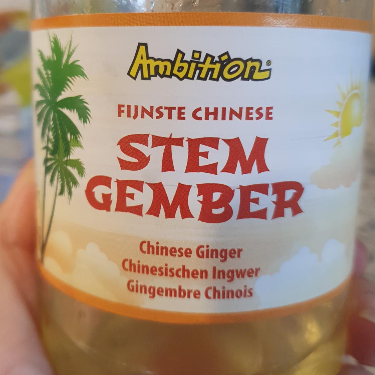 Fotografie - Stem ginger Ambition