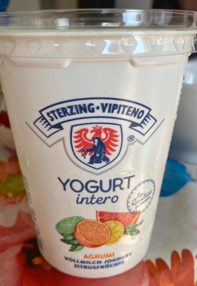 Fotografie - Yogurt intero agrumi Sterzing Vipiteno