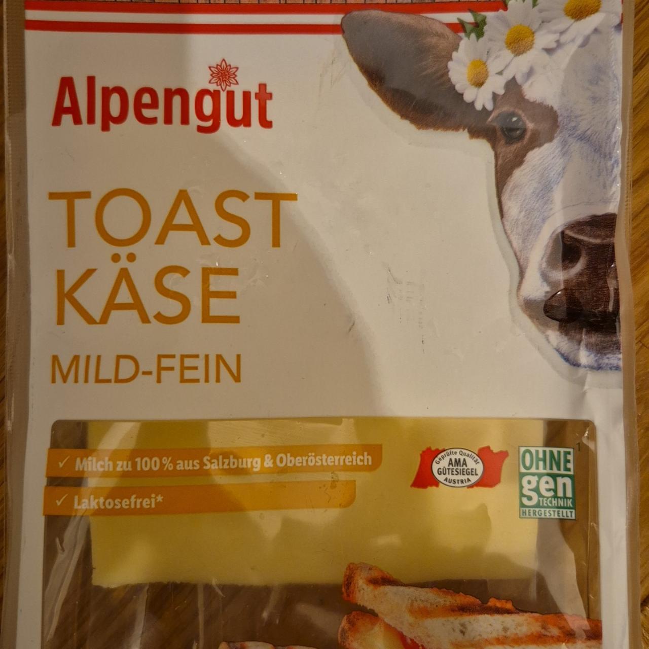 Fotografie - Toast käse mild-fein Alpengut