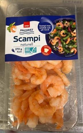 Fotografie - Fra havet scampi naturell Coop