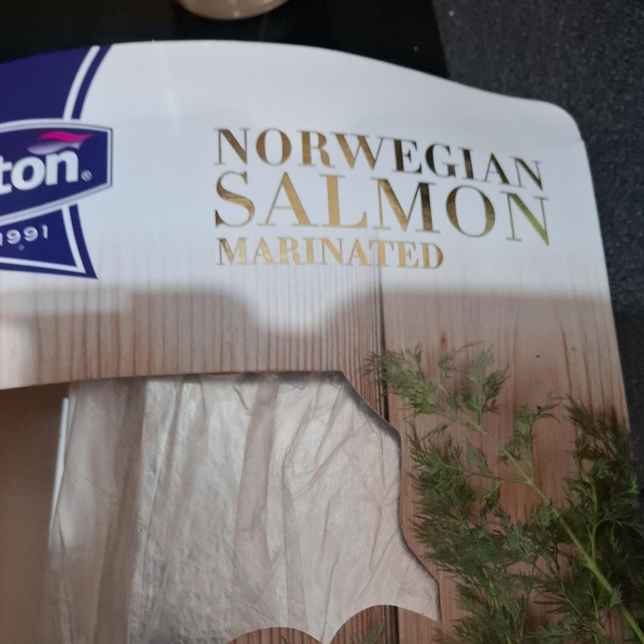 Fotografie - Norwegian salmon marinated Nekton