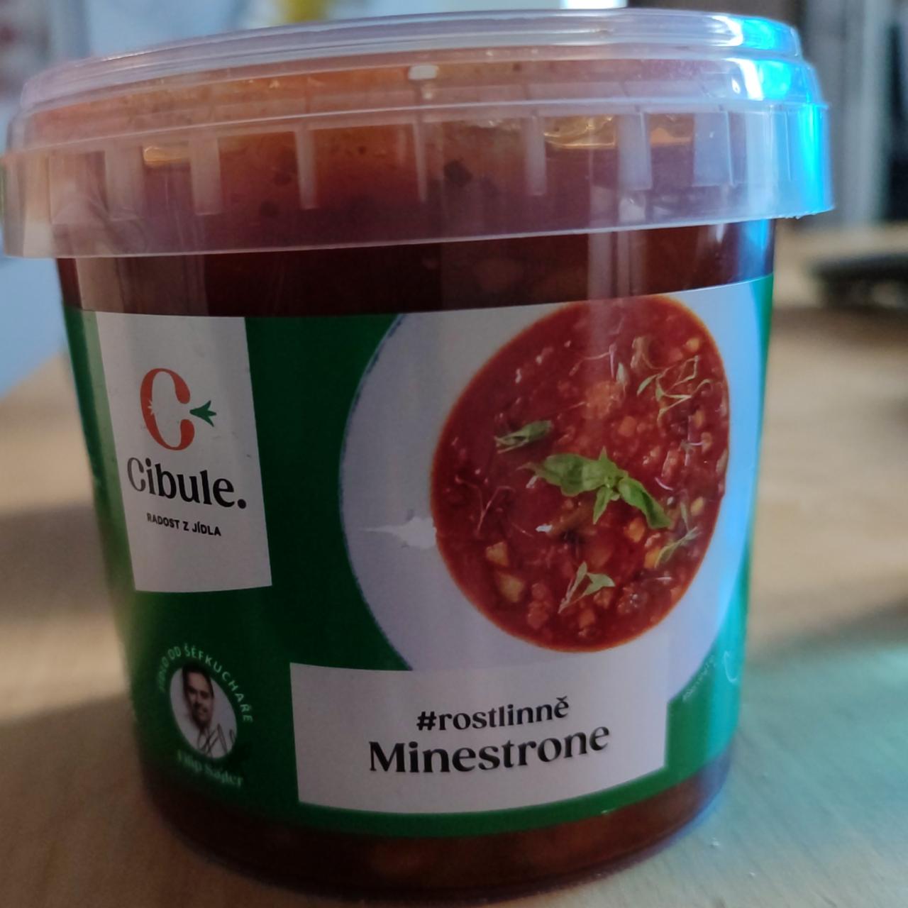 Fotografie - Minestrone Cibule. Radost z jídla