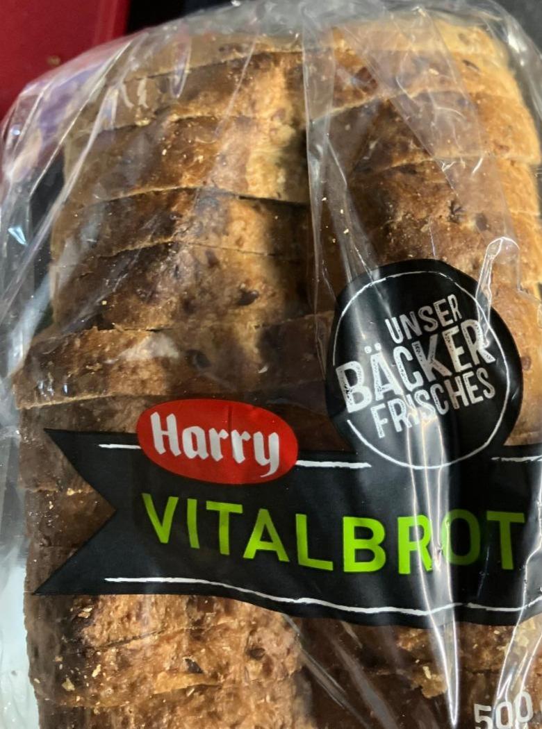 Fotografie - Vitalbrot Harry