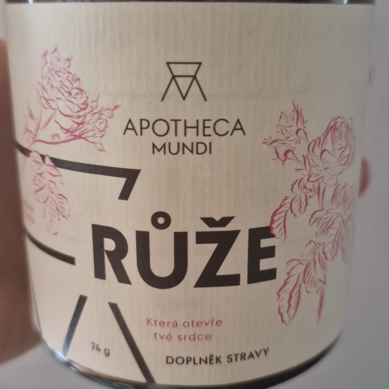 Fotografie - Růže která otevře tvé srdce Apotheca Mundi