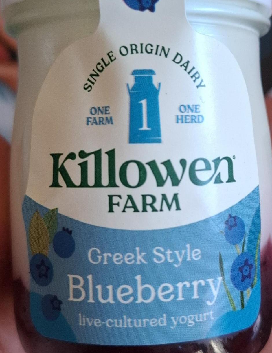 Fotografie - Greek Style Yogurt blueberry Killowen Farm