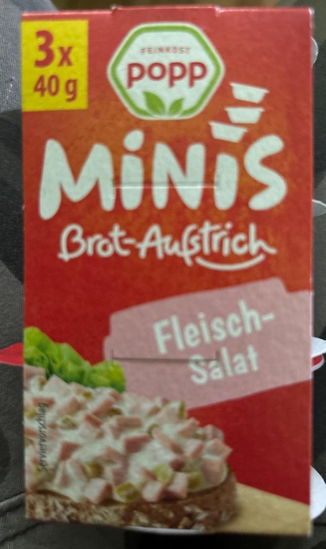 Fotografie - Minis brotaufstrich fleischsalat Feinkost popp