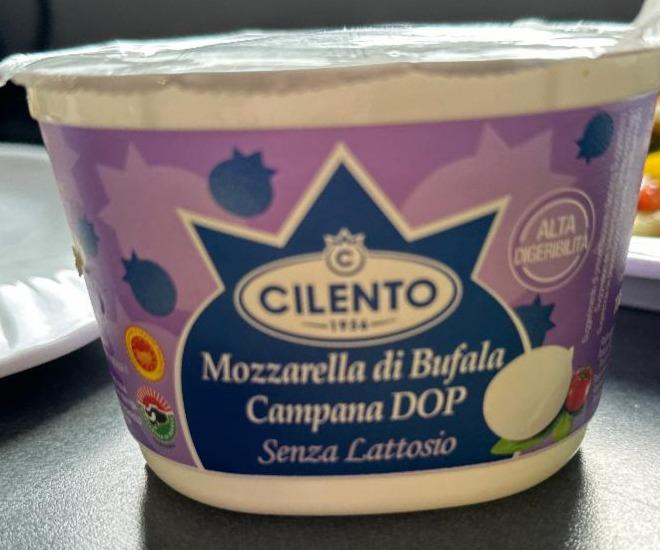 Fotografie - Mozzarella di bufala campana DOP senza lattosio Cilento