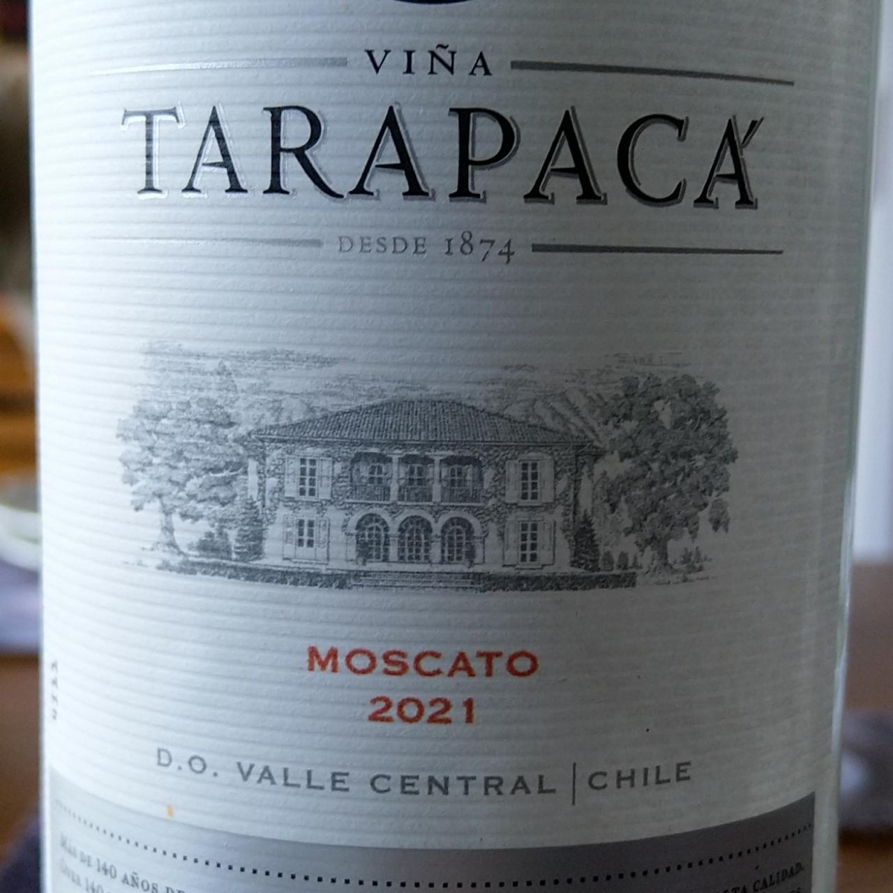 Fotografie - Tarapaca Moscato