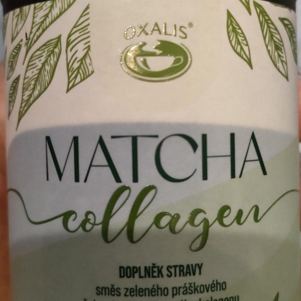 Fotografie - Matcha collagen Oxalis