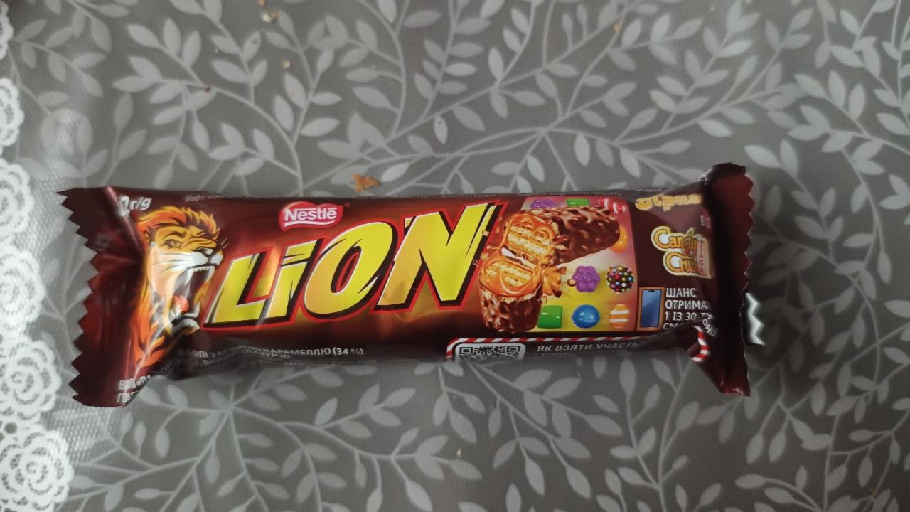 Fotografie - Lion coconut