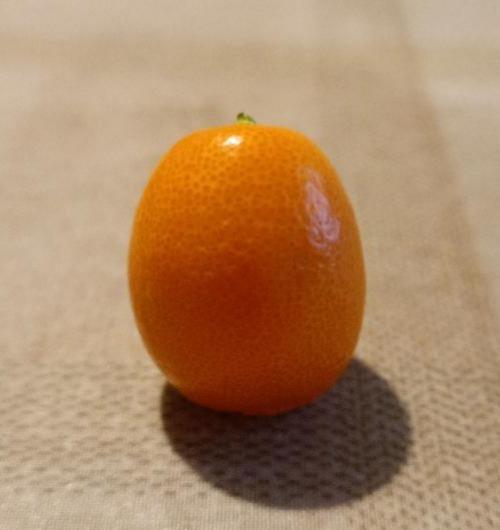 Fotografie - kumquat