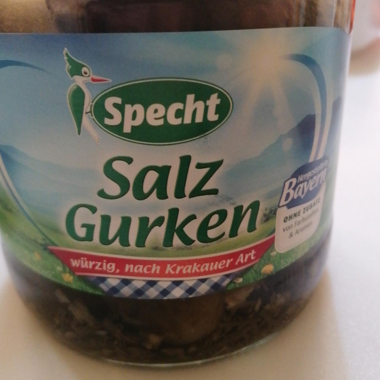 Fotografie - Salz Gurken Specht