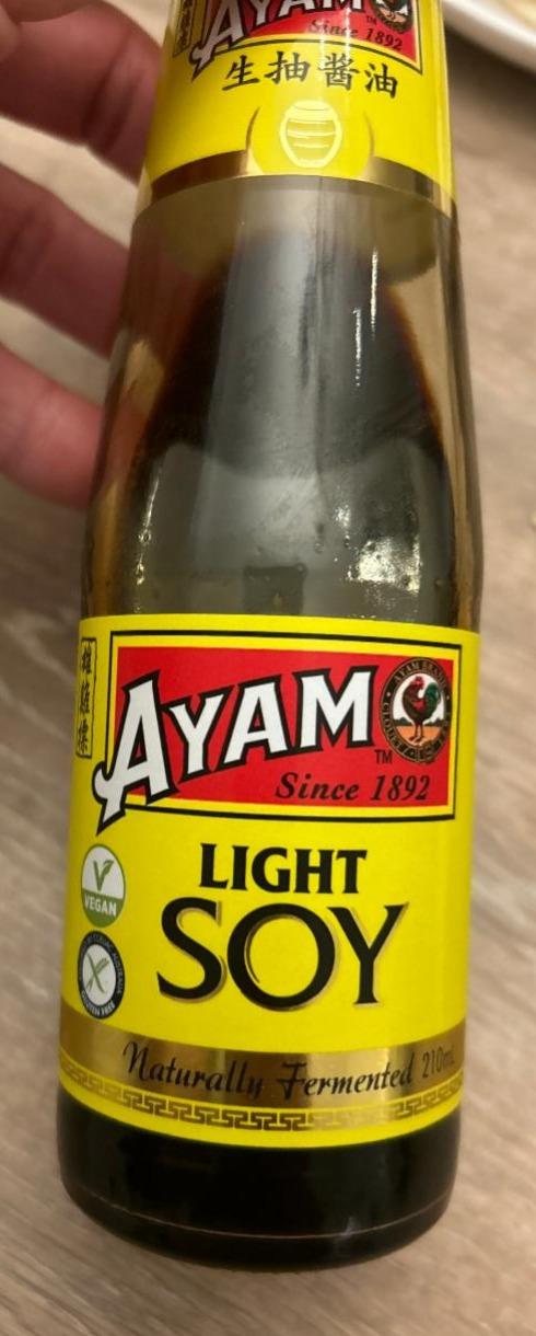 Fotografie - Light soy Ayam