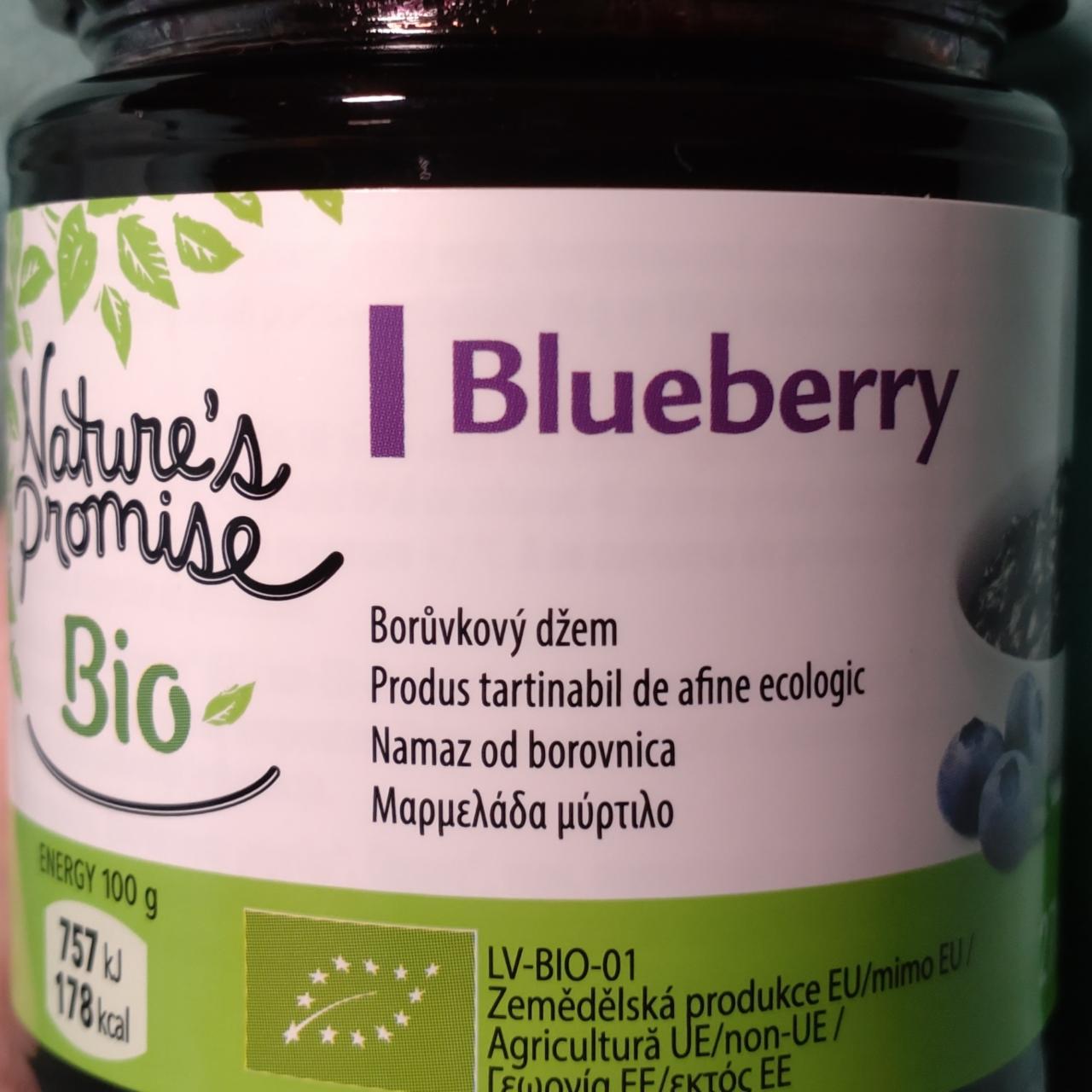 Fotografie - Blueberry borůvkový džem Nature's Promise