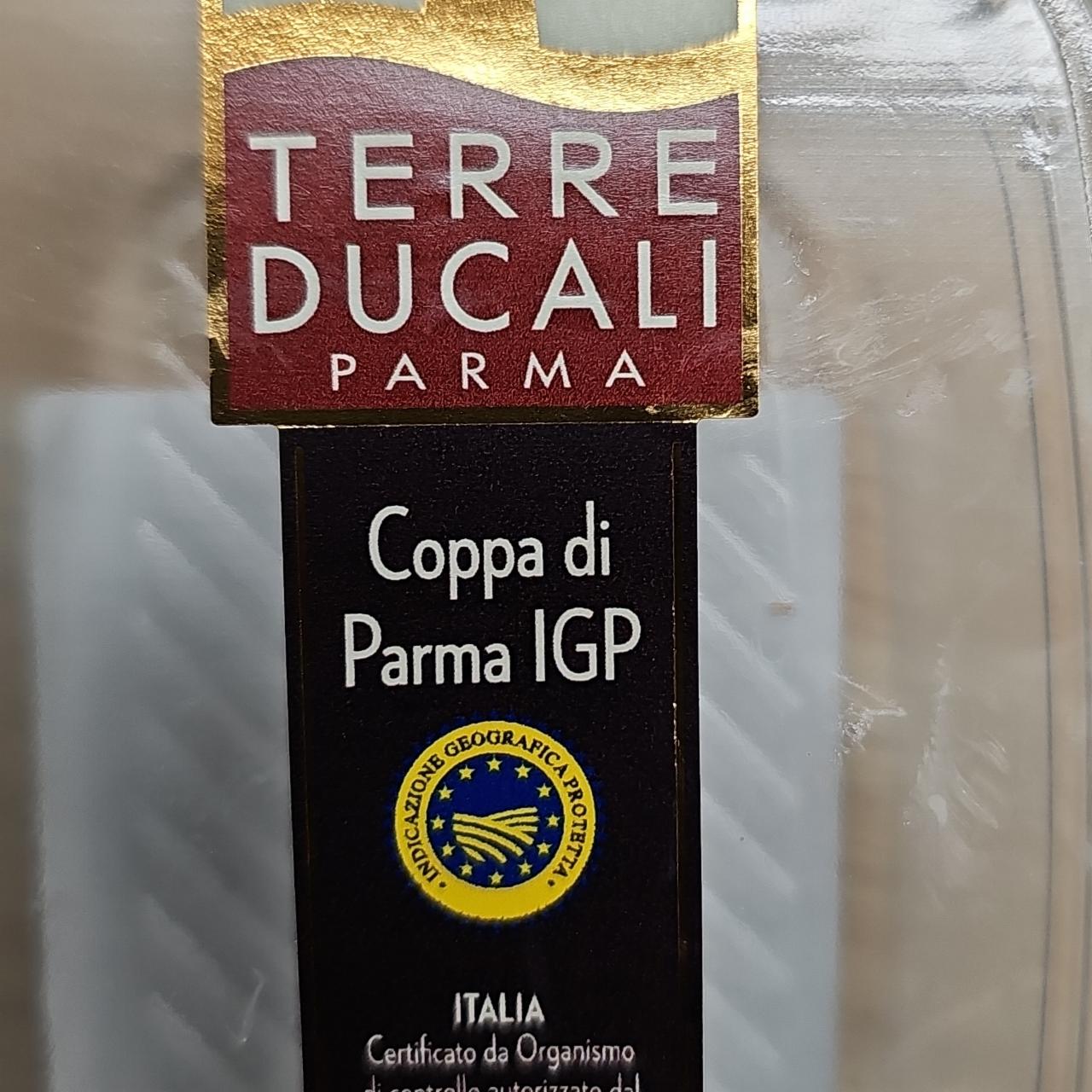 Fotografie - Coppa di parma igp Terre Ducali