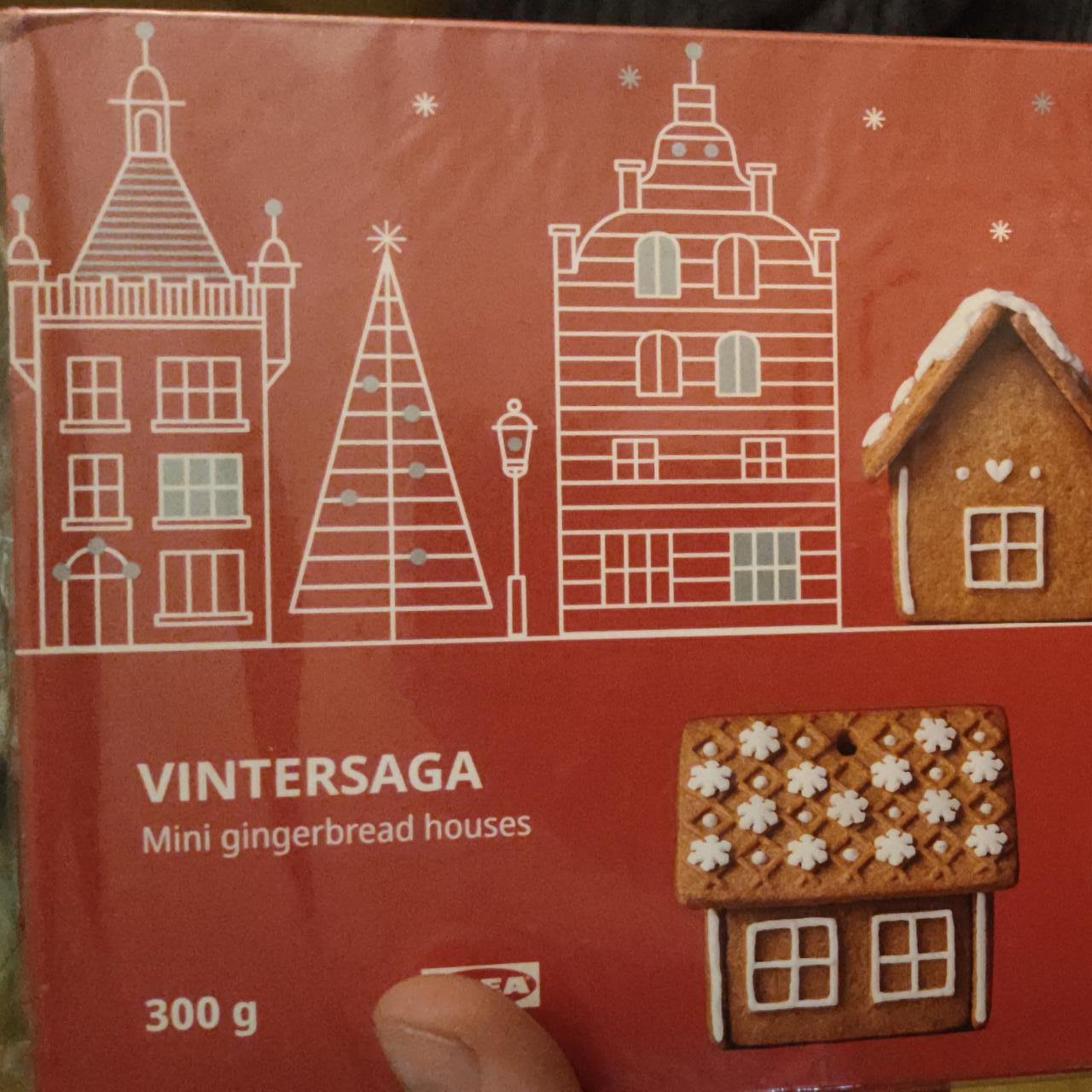 Fotografie - Vintersaga mini gingerbreaad houses Snack Day