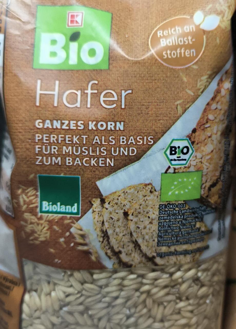 Fotografie - Hafer ganzes korn K-Bio