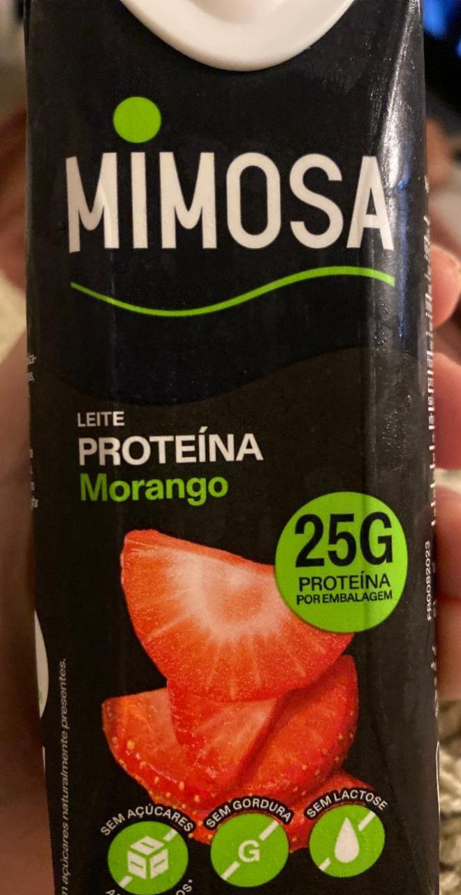 Fotografie - Leite proteína morango Mimosa