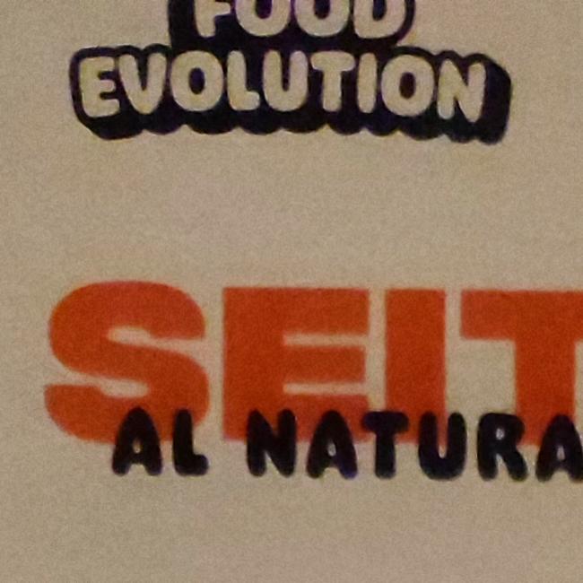 Fotografie - Seitan alternative al naturale Evolution food