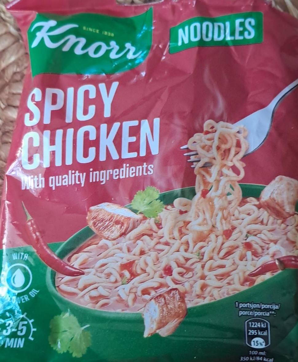 Fotografie - Spicy chicken noodles Knorr