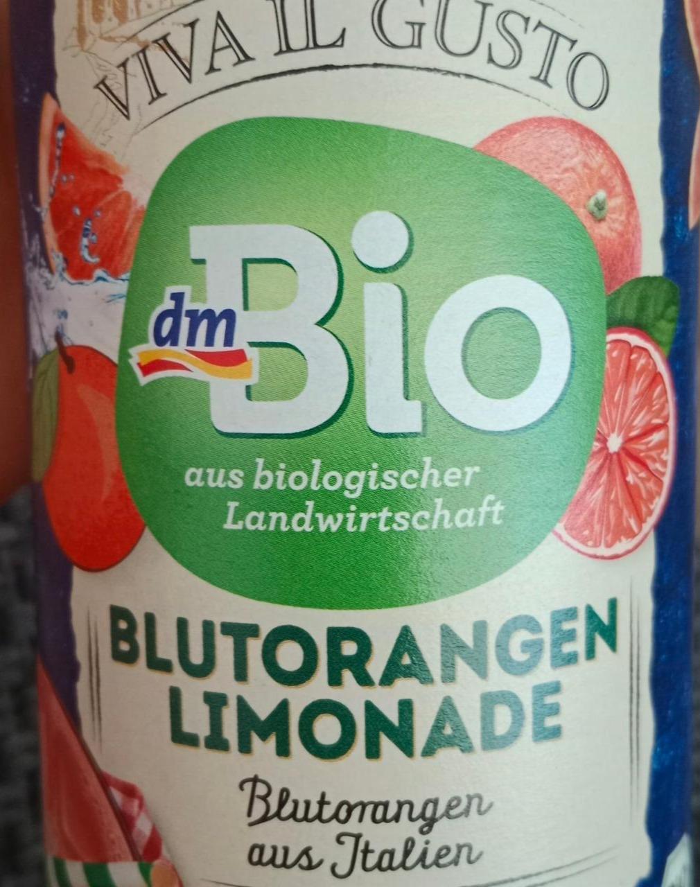 Fotografie - Blutorangen limonade dmBio