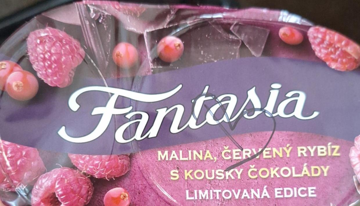 Fotografie - Fantasia malina, červený rybíz s kousky čokolády Danone