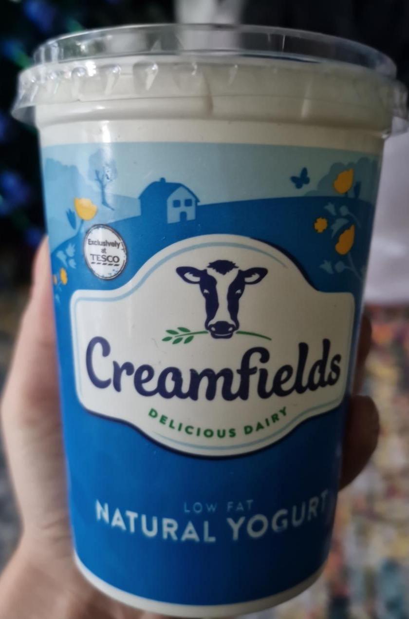 Fotografie - Low fat natural yogurt Creamfields