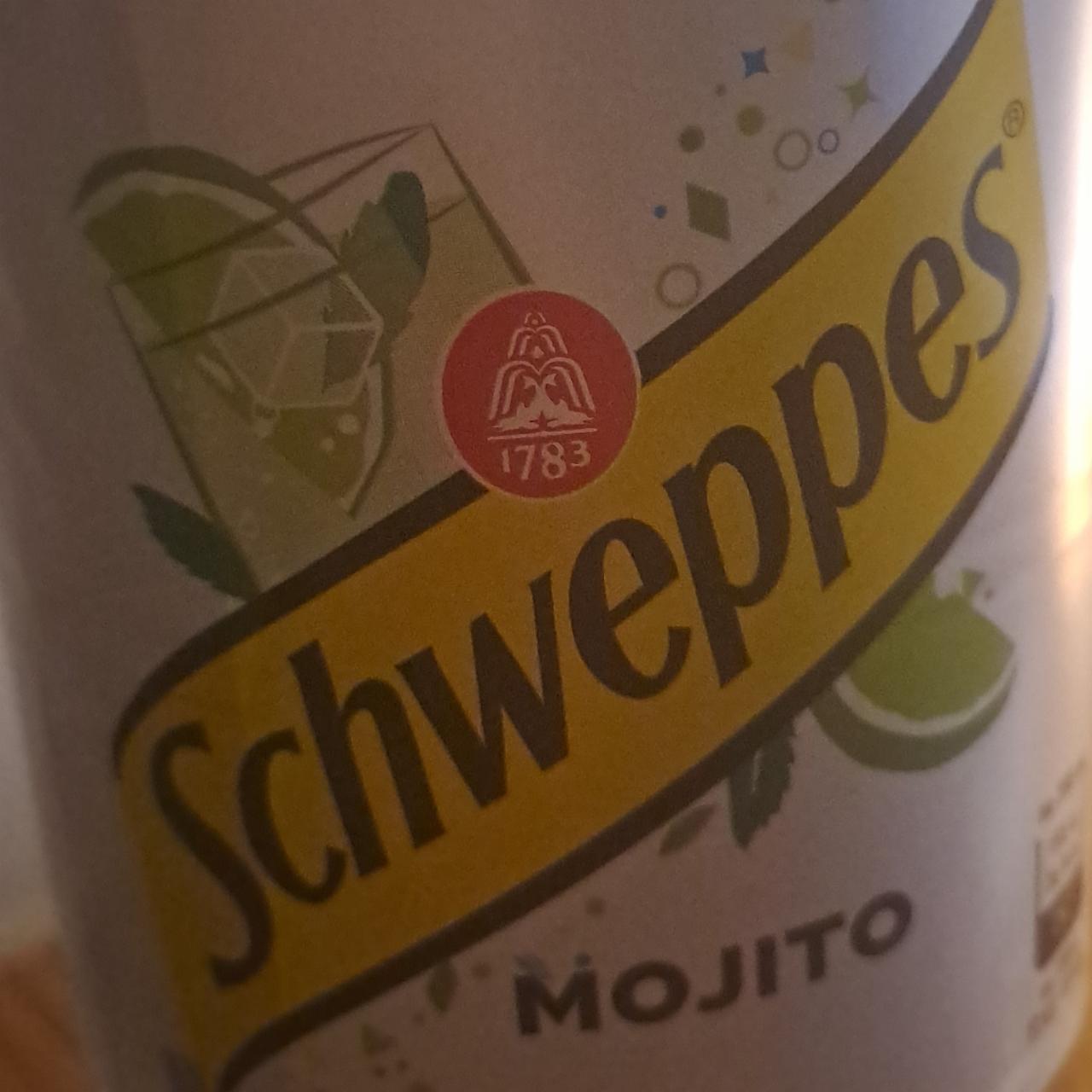 Fotografie - Mojito Schweppes