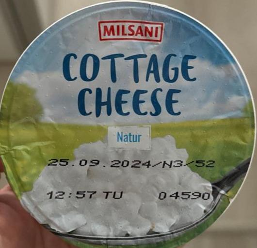 Fotografie - Cottage cheese natur Milsani