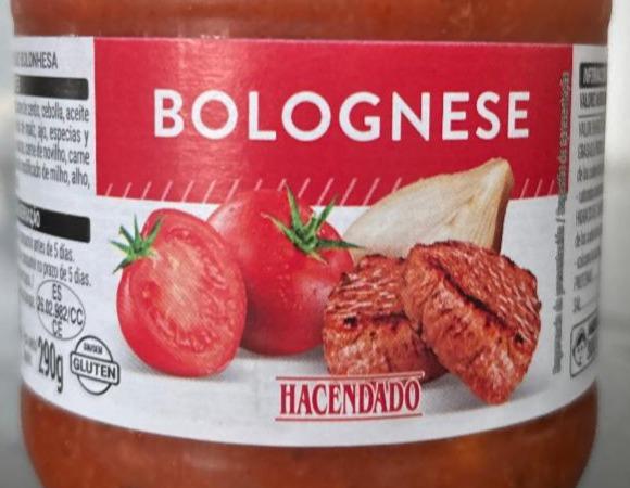 Fotografie - Bolognese Hacendado