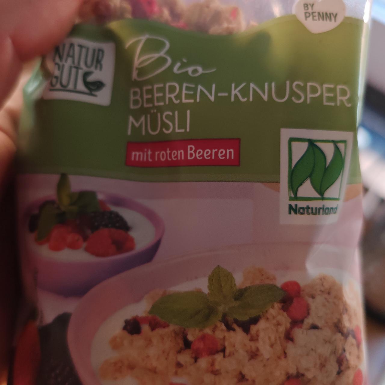 Fotografie - Bio beeren-knusper müsli mit roten beeren Natur Gut